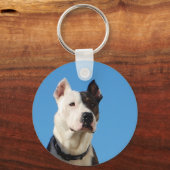 トンカ、ピットブル、キーチェーン キーホルダー (正面)