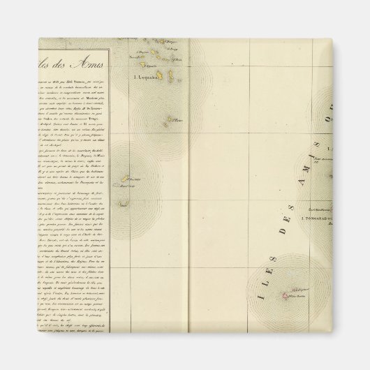 トンガオセアニアno 47 マグネット (正面)