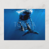 トンガ旅行絵はがき クジラウォッチング ポストカード (正面)