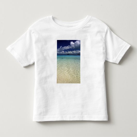 トンガ ヴァヴァウ島の島の風景 トドラーTシャツ (正面)