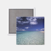 トンガ ヴァヴァウ島の島の風景 2 マグネット (正面/裏面)