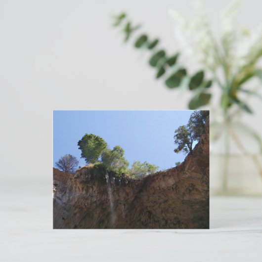 トント自然陸橋はがき ポストカード (スタンド正面)