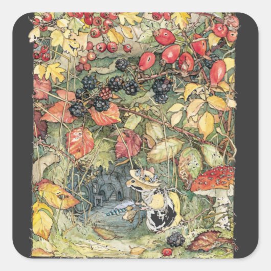 トンネルの入り口でプリムローズSpiral スクエアシール (正面)