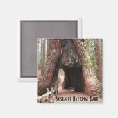 トンネルの木 – ヨセミテ マグネット (正面/裏面)