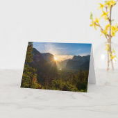 トンネルビュー カード (黄色い花)