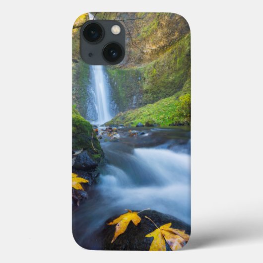 トンネル滝の垂直パノラマビュー Case-Mate iPhoneケース (裏面)