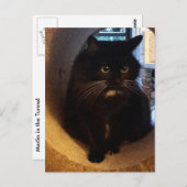 トンネル葉書のメルリン ポストカード (正面/裏面)