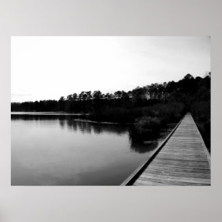 トンビビー国有林 ポスター