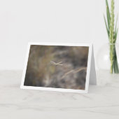 トンフライオンストーカーポートレート カード (正面)