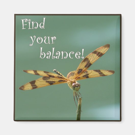 トンフライバランス磁石 マグネット (正面)