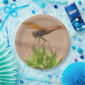 トンフライ紙プレート ペーパープレート (パーティー)