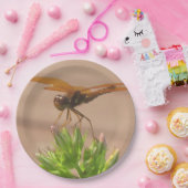 トンフライ紙プレート ペーパープレート (パーティー)