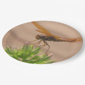 トンフライ紙プレート ペーパープレート (アングル)