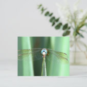 トンフライ顔アップ ポストカード (スタンド正面)