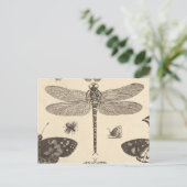 トンフライ(詳細)ヴィンテージアート ポストカード (スタンド正面)