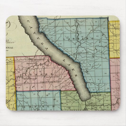 トンプキンス郡 マウスパッド (正面)