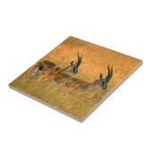 トンプソンガゼル（ガゼラトムソニ） At Dawn タイル (側面)