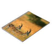 トンプソンガゼル(ガゼラトムソニ) At Dawn ノートブック (左側)