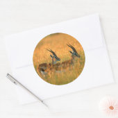 トンプソンガゼル(ガゼラトムソニ) At Dawn ラウンドシール (封筒)