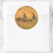 トンプソンガゼル(ガゼラトムソニ) At Dawn ラウンドシール (バッグ)