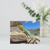 トンプソン春 ポストカード (スタンド正面)