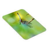 トンボつるラー！ マグネット (右側)