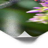 トンボとダビズラベンダーフロックス フォトプリント            (角)