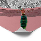 トンボとデイジーが自分の写真を作成 ポスター (角)