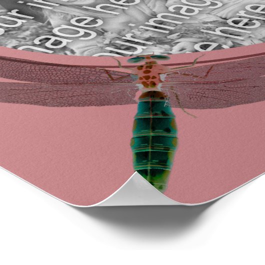 トンボとデイジーが自分の写真を作成 ポスター (角)