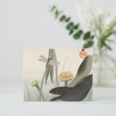 トンボとハス、1920年、大原小村 ポストカード (スタンド正面)