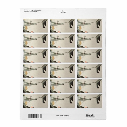 トンボとハス、1920年、大原小村 ラベル (フルシート)