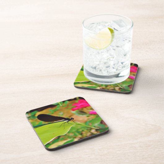 トンボとバラ コースター (右側)