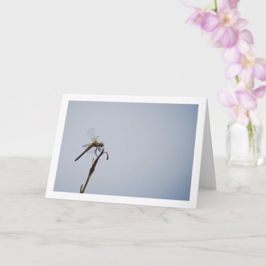 トンボと杖 カード (蘭)