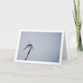 トンボと杖 カード (正面)