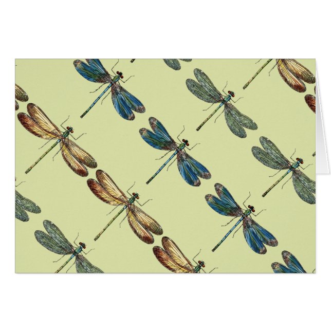 トンボのイラストレーション (正面横)