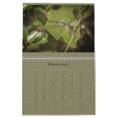 トンボのカレンダー カレンダー (2月 2026)