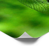 トンボのクローズアップ自然 ポスター (角)