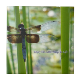 トンボのタイル タイル