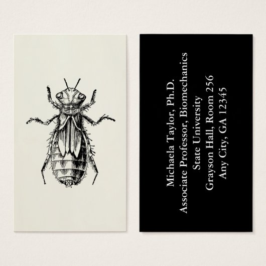 トンボのニンフ虫の恋人 (正面&裏面)