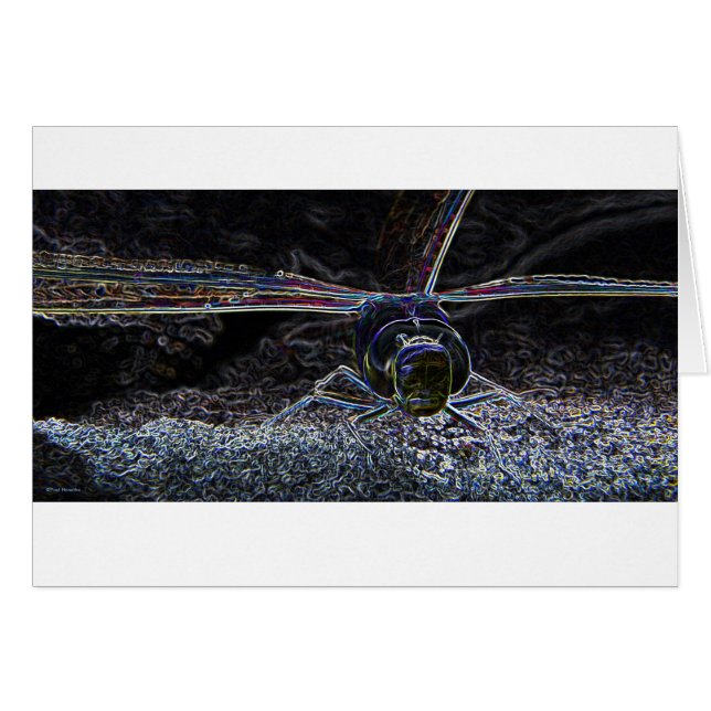 トンボのネオン2 (正面横)