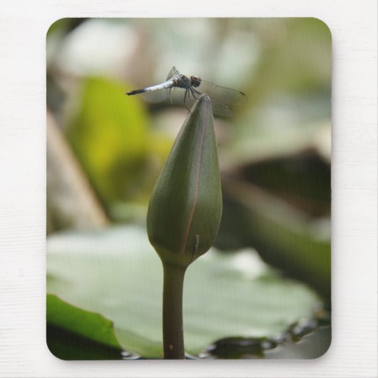 トンボのマウスパッド マウスパッド (正面)