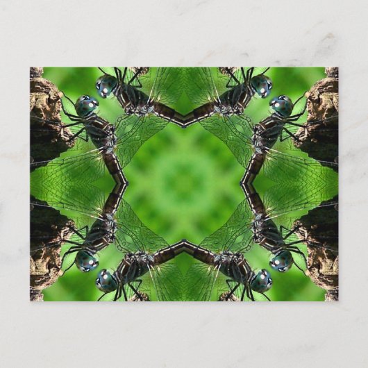 トンボの万華鏡のように千変万化するパターンの芸術の自然の郵便はがき ポストカード (正面)