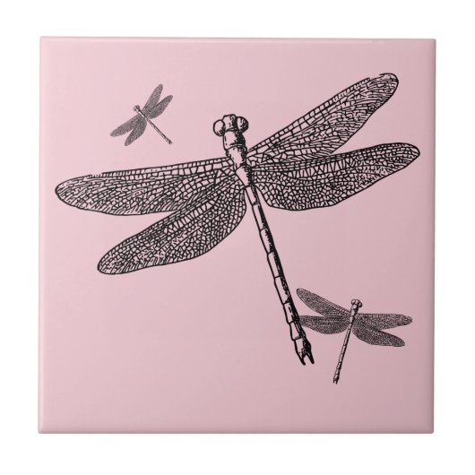 トンボの三つ タイル (正面)