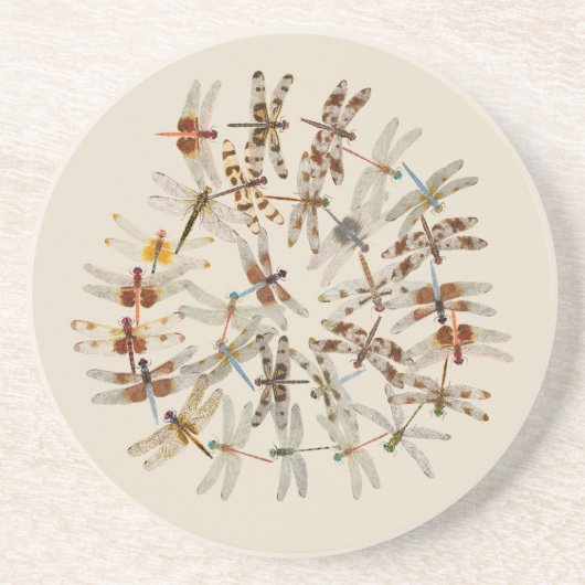 トンボの円形のコースター コースター (正面)