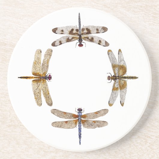 トンボの円 コースター (正面)