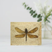 トンボの化石の郵便はがき ポストカード (スタンド正面)