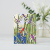 トンボの夏 ポストカード (スタンド正面)