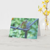 トンボの庭　回復カード #2 カード (黄色い花)
