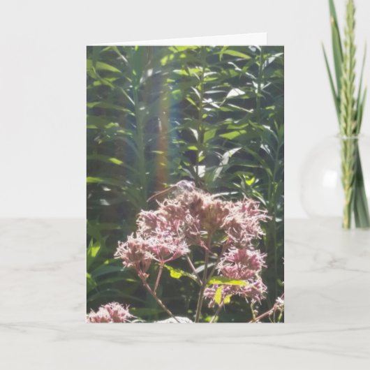 トンボの悔やみや弔慰カード カード (正面)