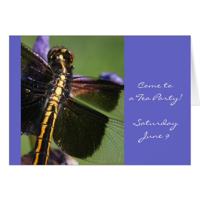 トンボの翼 (正面横)